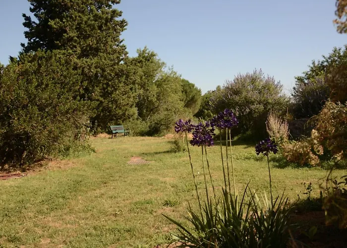 Apartamento Le Loft Du Chant Du Buc Marssac-sur-Tarn