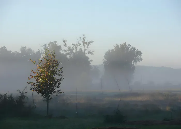 Apartamento Le Loft Du Chant Du Buc *