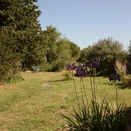 Apartment Le Loft Du Chant Du Buc Marssac-sur-Tarn
