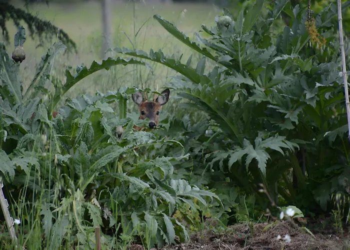 Apartamento Le Loft Du Chant Du Buc